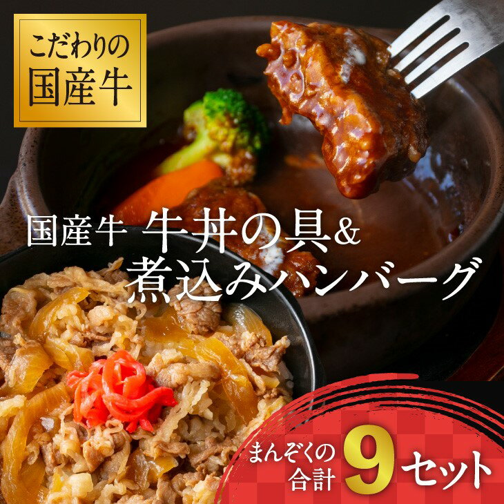 【ふるさと納税】《こだわりソースと玉ねぎが旨い簡単惣菜》国産牛 牛丼の具&煮込みハンバーグ 満足の9個セット 湯煎で温めるだけ お取り寄せ 個包装 小分け 国産牛 便利 時短 冷凍 簡単 土産 おかず 惣菜 お肉屋さん お歳暮 ギフト