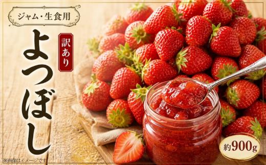 【先行予約】 いちご よつぼし 900g ジャム・生食用 加工用 果物 フルーツ 苺 ストロベリー ケーキ アイス シャーベット ジェラート ゼリー ジュース ジャム スムージー 洋菓子 和菓子 お菓子 おやつ フルーツサンド フルーツ大福 苺大福 不揃い 規格外 家庭用 人気 オススメ お取り寄せ グルメ 徳島県 阿波市 チタチタストロベリーファーム