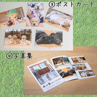 盲導犬 訓練 支援寄附 記念品［陶器のクイール（子犬）※欠品時は代替品の盲導犬のぬいぐるみ・タオル・エコバッグ など盲導犬協会オリジナルグッズ］補助犬 (50,000円)