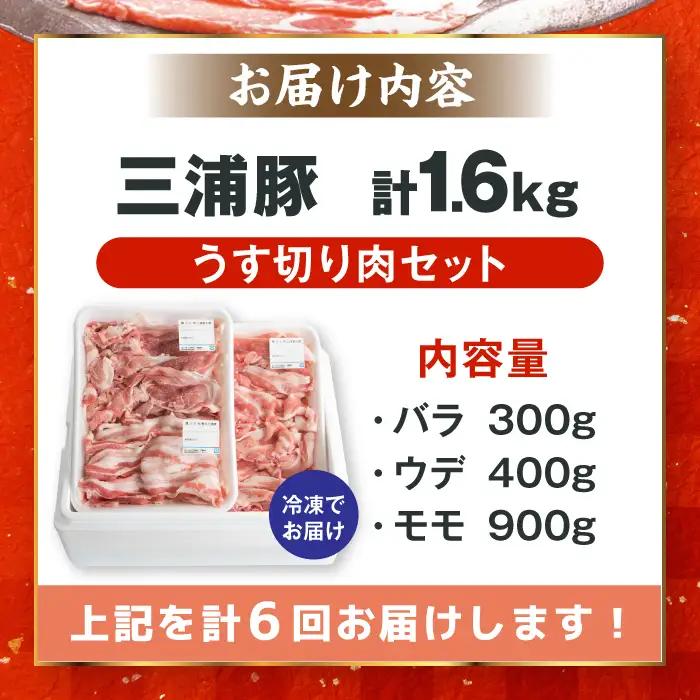 【6回定期便】 特盛三浦豚 1.6kg 豚肉セット / 恵那市 / あづま精肉店 [AUDL007]