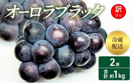 
                  [№5615-0402]訳あり ぶどう オーロラブラック 2房 合計約1kg 岡山県 高梁市産 2026年 先行予約 冷蔵 フルーツ 葡萄 ブドウ 産地直送 大粒 爽やか 食べやすい
                