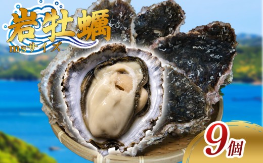 （冷蔵） Cコース 岩牡蠣 MSサイズ 9個 三重産 カキ かき 加熱用 カキフライ 牡蠣鍋 蒸し牡蠣 カキ BBQ 浜焼き バーベキュー 新鮮 海鮮 魚介 国産 取り寄せ グルメ 料理 オイスター おつまみ お弁当 おかず 惣菜 グラタン バーベキュー ごはん 伊勢 志摩 三重県 南伊勢町 30000円 三万円