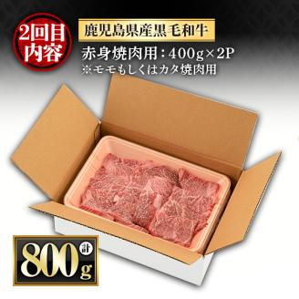 y443 ＜定期便・全3回(連続)＞黒毛和牛の赤身牛肉コース(すき焼き、焼肉、ステーキ)  国産 九州産 鹿児島県産 牛肉 黒毛和牛 和牛 赤身 ステーキ 定期便 頒布会 毎月 すき焼き しゃぶしゃぶ