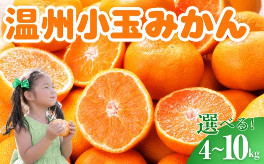≪先行予約≫ 温州小玉みかん ご家庭用 4kg わけあり  4キロ みかん ミカン 蜜柑 mikan 柑橘 旬 フルーツ 果物 愛知県 豊橋市  15000円  国産 豊橋産 愛知県 豊橋市 みかん みかん みかん みかん みかん みかん みかん