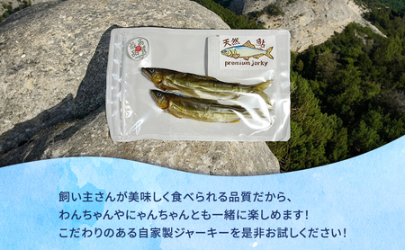 ペットフード お魚ジャーキー 詰め合わせ 5袋 ペットフード