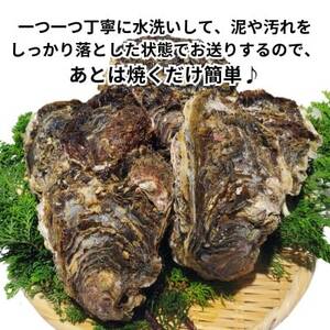 篠島2種の天然殻付きカキ1kg(岩牡蠣&真牡蠣)食べ比べセット 生食用/CAS冷凍 海鮮BBQに