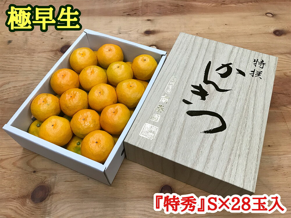 【ふるさと納税】極早生 みかん 有田 化粧箱 小箱 特秀 Sサイズ 約2kg 28玉入 南泰園【ミカン 蜜柑 柑橘 温州みかん 和歌山 有田】