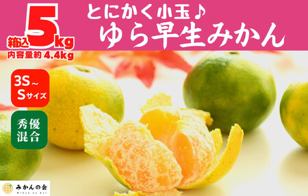 ゆら早生 みかん 小玉ちゃん 箱込5kg(内容量 4.4kg)3S～Sサイズ混合 秀優混合 有田みかん 和歌山県産 【みかんの会】［2026年10月下旬頃より順次発送予定］