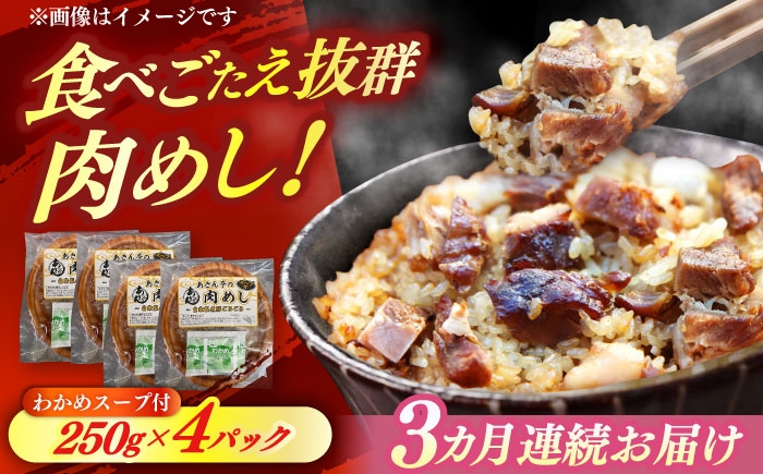 
                  【3回定期便】 あきん亭 肉めし 4人前 瑞浪ボーノポーク使用 冷凍 瑞浪市 / 自家製 お取り寄せ [AZAA010]
                