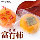 【ふるさと納税】【先行予約】春光園 冷蔵富有柿 2024年12月中旬〜2025年1月下旬お届け