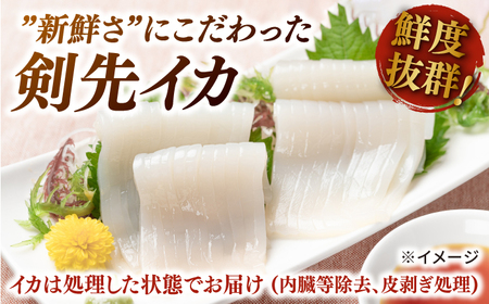 剣先イカ 5本 セット【丸徳水産】《対馬市》鮮度抜群 新鮮 ケンサキイカ シロイカ 下処理済 刺身 BBQ 惣菜 天ぷら フライ 海鮮[WAE011] コダワリイカ・いか こだわりイカ・いか おすすめ