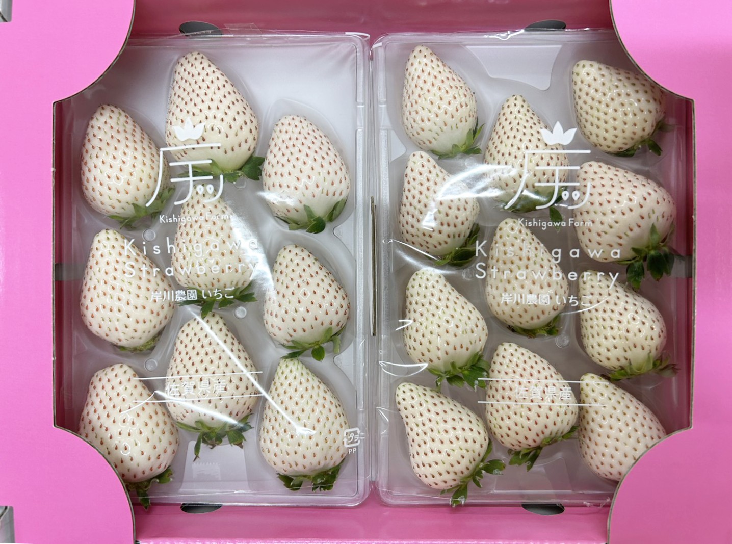 
                  岸川農園のいちご「こころの色」220ｇ×2P
                