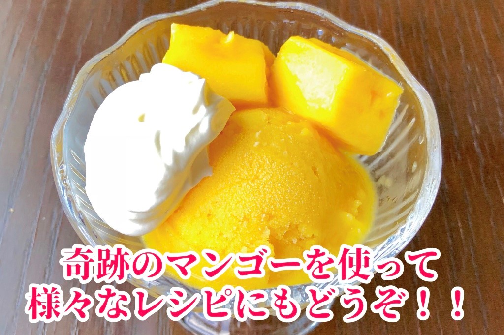 ◆先行予約◆和歌山県産　紀州完熟マンゴー『吉玉』約1kg程度／2～3玉入り【2025年7月中旬から8月下旬頃順次発送予定】【MG20】【mtgn055】