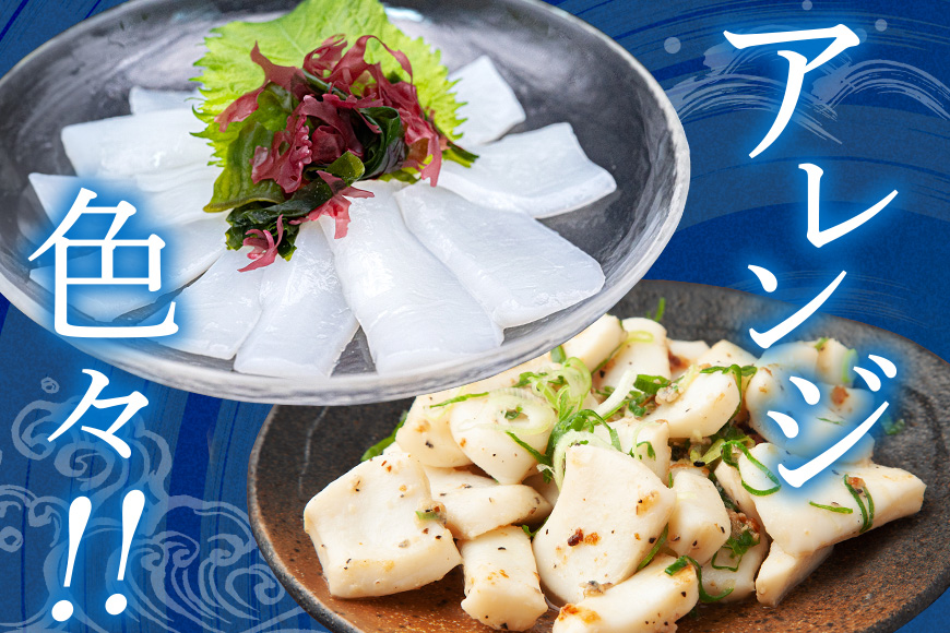 モチっとした新食感！ソデイカ（セーイカ）約5kg