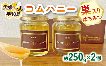 巣蜜 コムハニー 250g × 2個 セット 宇和島農産 ハチミツ 蜜 百花蜜 巣みつ 巣ミツ 人気ハチミツ 非加熱 はちみつ 蜂蜜 ハニー 百花蜂蜜 百花はちみつ 純粋はちみつ 生はちみつ 天然はちみつ 産地直送 愛媛 宇和島 F018-132012