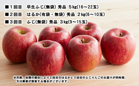 【定期便3回】やまがた秋のりんご三昧 FZ23-638