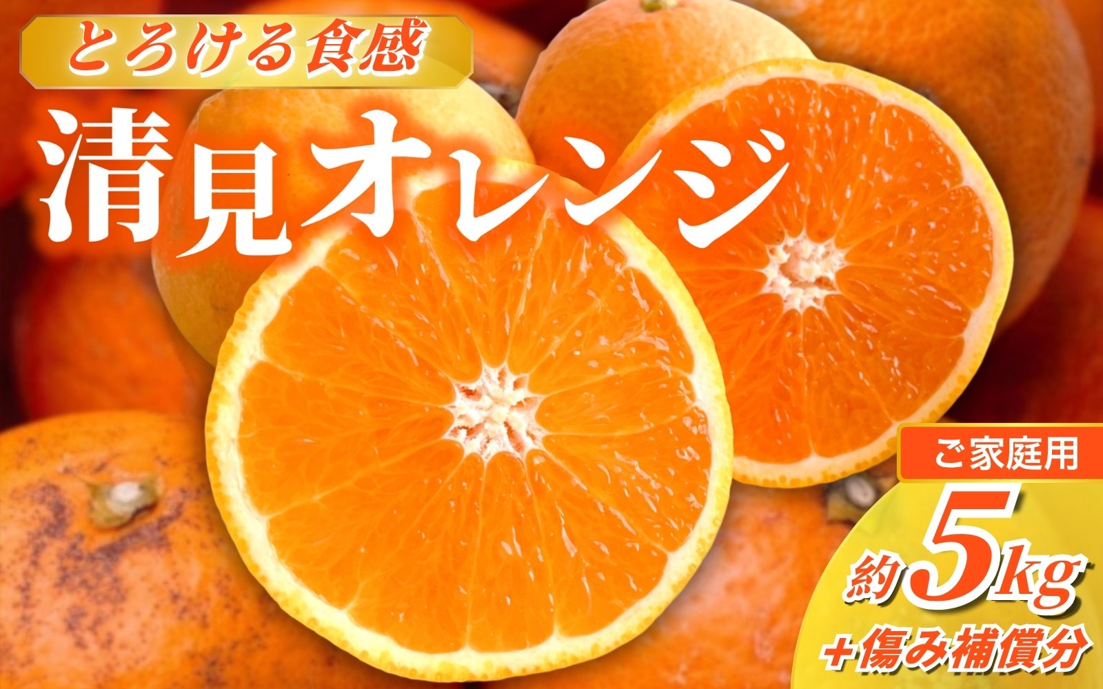 
            ＜2月より発送＞家庭用 清見オレンジ 5kg+250g（傷み補償分）【光センサー食頃出荷】【樹上完熟きよみオレンジ・清見タンゴール・清美】【わけあり・訳あり】 / オレンジ 清見 おれんじ みかん 柑橘 有田 和歌山 産地直送  くだもの 果物 フルーツ 柑橘類 和歌山 すさみ町【ikd166C】
          