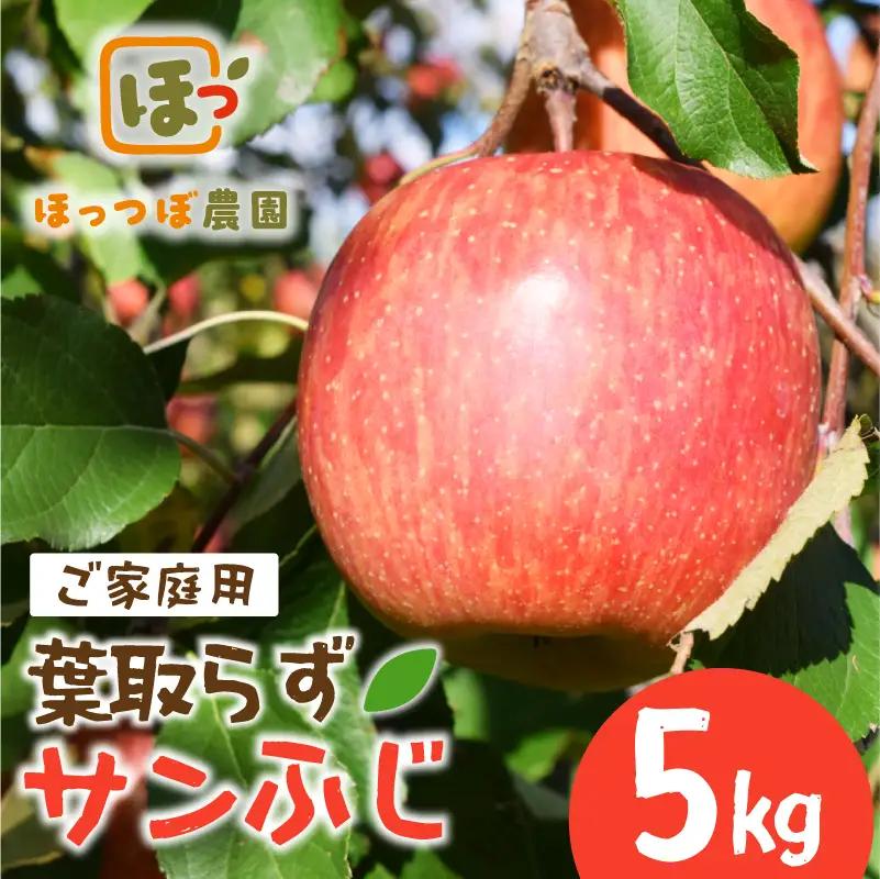 先行予約 りんご 家庭用 サンふじ 5kg りんご