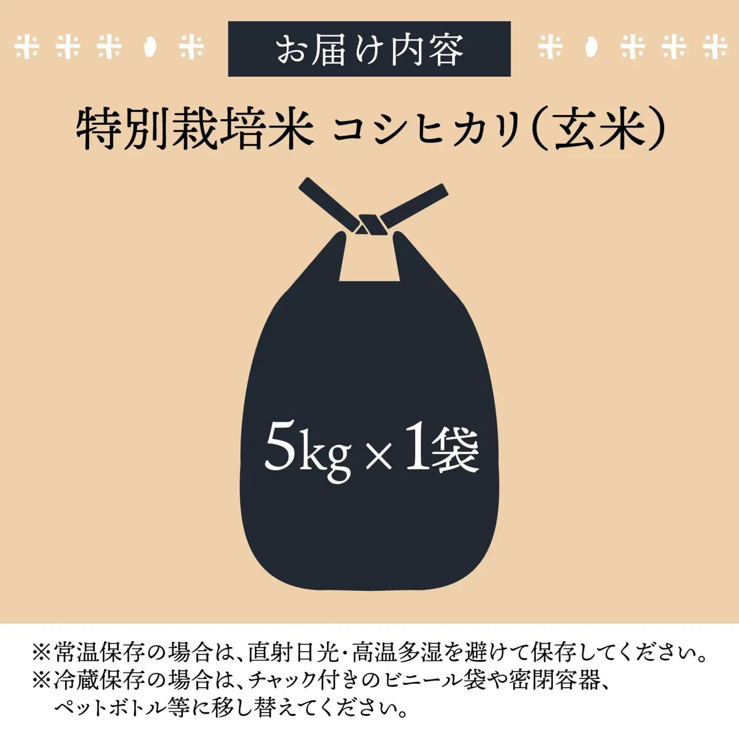 令和8年度産 コシヒカリ 5kg 玄米 特別栽培米 コシヒカリ  