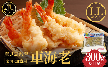 【鹿児島県産】冷凍 車海老 LLサイズ 300g （加熱用） 車エビ 車えび くるまえび 海老 エビ えび 海の幸 海鮮 九州 国産 魚介 魚介類 真空パック 天ぷら エビフライ エビチリ 冷凍 南さつま市