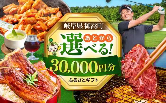 
            【あとから選べる】 岐阜県御嵩町ふるさとギフト 3万円分  飛騨牛 うなぎ ゴルフ場 あとから ギフト [AVBM007]
          