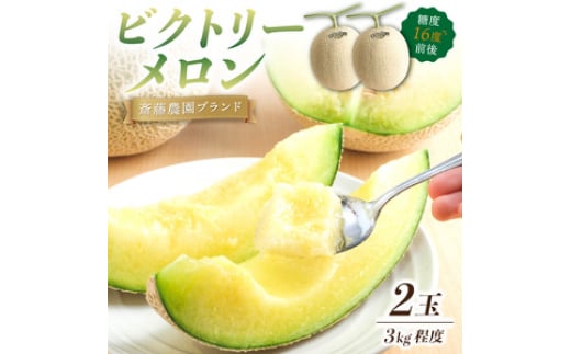斎藤農園ブランド「ビクトリーメロン」アールスメロン(マスクメロン)2玉3kg程度≪先行予約2026年6月下旬以降発送分≫【配送不可地域：北海道・青森・秋田・岩手・沖縄・離島】