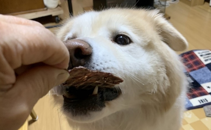 ペットフード クセになる 鹿肉フレーク 40g×2袋 犬のおやつ 愛犬用 犬用 ペット用 贅沢フード 低カロリー 低脂質 高タンパク 高鉄分 LID素材 最高品質 赤身 