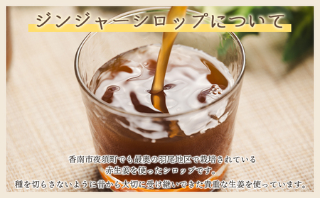 【定期便／年12回お届け】 香南市ジンジャーシロップ 生姜 (200ml)×5本セット 定期便  Wyr-0134