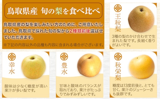 【2026年先行予約】訳あり 鳥取県産 旬の梨セット 約3kg (3~10玉) 高間商店 《2026年8月下旬-12月上旬頃出荷予定》鳥取県 八頭町 梨 なし 果物 フルーツ 幸水 豊水 秋栄梨 秋甘