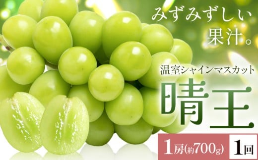 【2026年発送先行予約】シャインマスカット 温室 晴王 1房(約700g) 1回お届け シャイン マスカット《2026年7月中旬-8月中旬頃出荷》晴レ乃青果　(岡山中央卸売市場店(富士紙工 有限会社)) 送料無料 岡山県 浅口市 フルーツ 果物 岡山県産【配送不可地域あり】