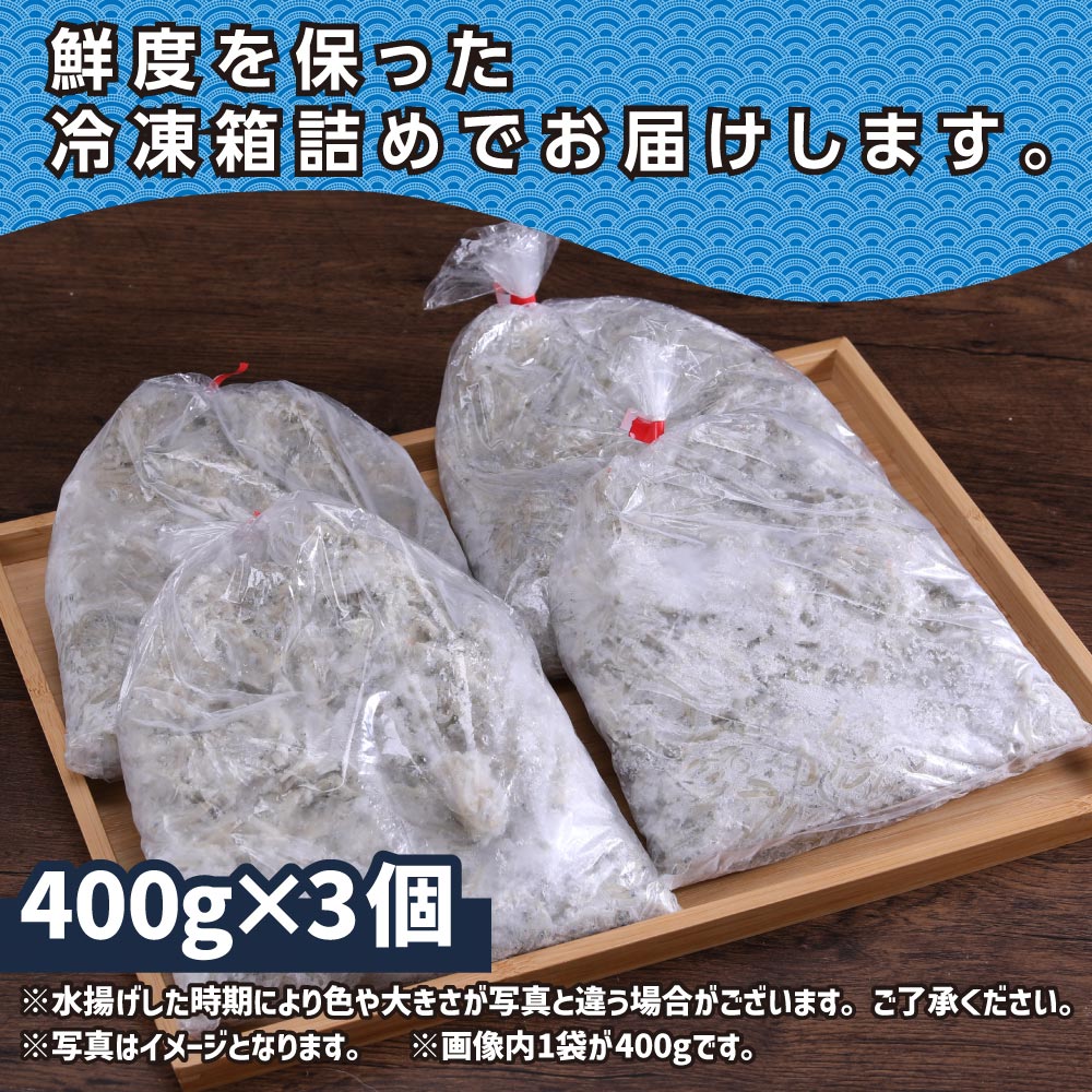 訳あり釜揚げシラス400g×3個 高知県産 釜揚げしらす 簡易梱包 わけあり 不揃い シラス 国産 釜揚げ 新鮮 しらす丼 海鮮丼 お茶漬け 冷凍配送 塩分控えめ お取り寄せ