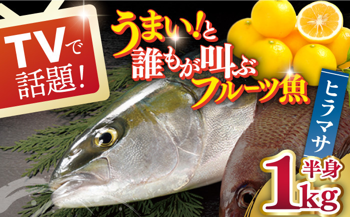 
            【一度食べるとやみつきに！最高のお魚をご用意しました】ヒラマサ（半身） 平戸なつ香 ヒラス 約1kg 平戸市 / 坂野水産 [KAA207]
          