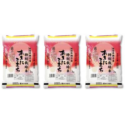 ふるさと納税 横手市 【令和7年産】＜愛和自然農法研究会＞特栽米あきたこまち6kg(2kg×3袋) |  | 01