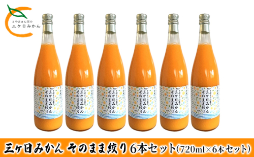 三ヶ日みかん そのまま絞り 6本セット（720ml×6本セット）