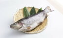 【ふるさと納税】津本式「究極の血抜き」　西米良サーモン 1尾　魚 海鮮 サーモン 鮭 刺身 さけ サケ 刺身 人気 ふるさと 海鮮食品 魚介類 魚介 鮭 カルパッチョ マリネ 宮崎県 西米良村