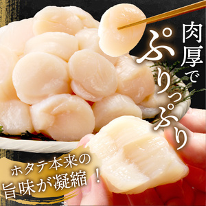 北海道オホーツク海産 ホタテ貝柱 800g 生食用 5sサイズ ( 海鮮 魚介 魚介類 貝 貝類 帆立 ほたて お刺身 刺身 貝柱 海鮮丼 帆立貝柱 人気 ふるさと納税 ホタテ )【037-0006】
