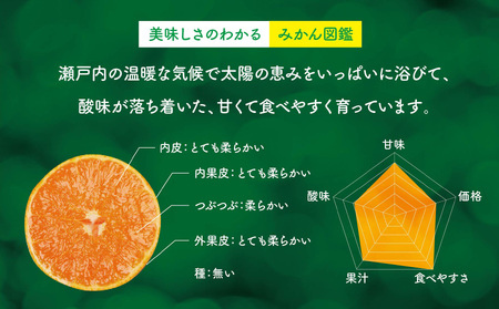 【 訳あり 】 天空 の 果樹園 から届く そら みかん ( 10kg )【C45-28】【1339407】