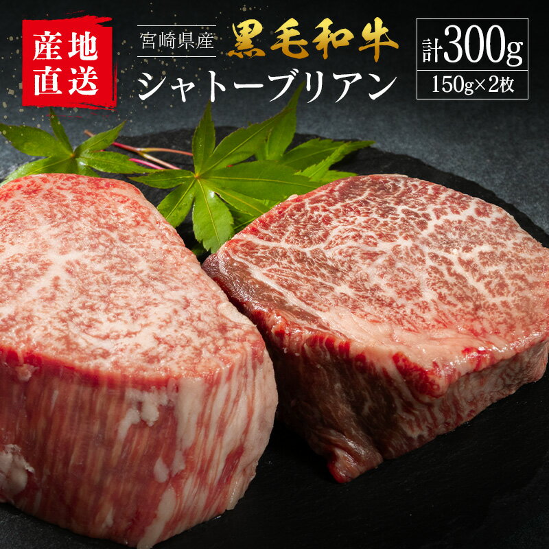 【ふるさと納税】【産地直送】宮崎県産 黒毛和牛 シャトーブリアン ステーキ 2枚