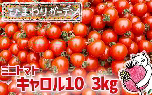 【2025年7月中旬より順次発送開始予定】 岩手県産 EM栽培 ミニトマト キャロル10 約3kg ／ とまと ミニ トマト 新鮮 サラダ トマトジュース お弁当 夏野菜 プチトマト 旬 期間限定 季節限定 野菜 お野菜 八幡平市産 産地直送 農家直送 国産 オススメ おすすめ ひまわりガーデン