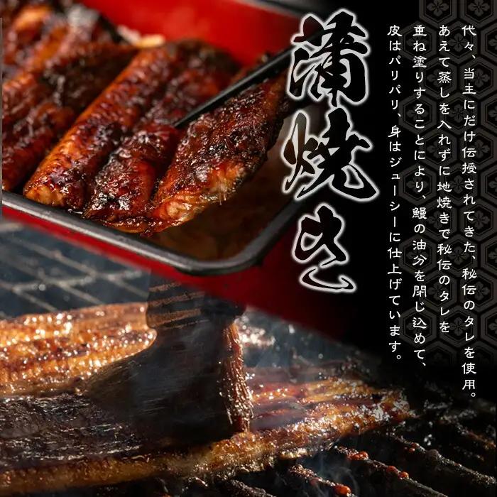 うなぎ処 四代目 志おや うな重ペアお食事券(うな重特・うな丼特もしくは蒲焼・白焼き松(持ち帰りは鰻弁当特・蒲焼白焼き松より2点))チケット 食事券 うなぎ 鰻 志おや 勝負めし【109400700】