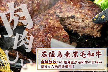 石垣島産 黒毛和牛 生ハンバーグ 120g x 10個  UN-2