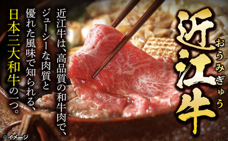 近江牛 すきしゃぶ・焼肉セット1.6kg [AQDB033] 近江牛