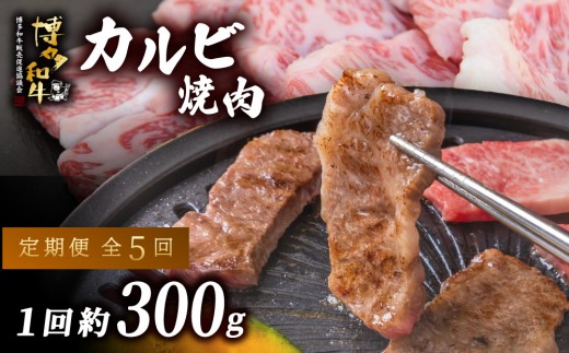 ≪定期便・全5回≫博多和牛 肩ロース焼肉