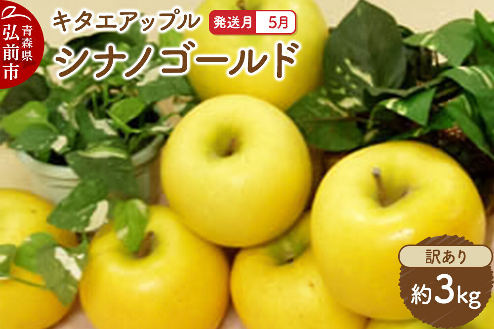 【26年5月クール便発送】りんご シナノゴールド【訳あり】約3kg【CA貯蔵】キタエアップル [不揃い 規格外 アップル 産地直送 青森県 弘前市 詰め合わせ セット 果物 フルーツ 林檎 リンゴ くだもの]