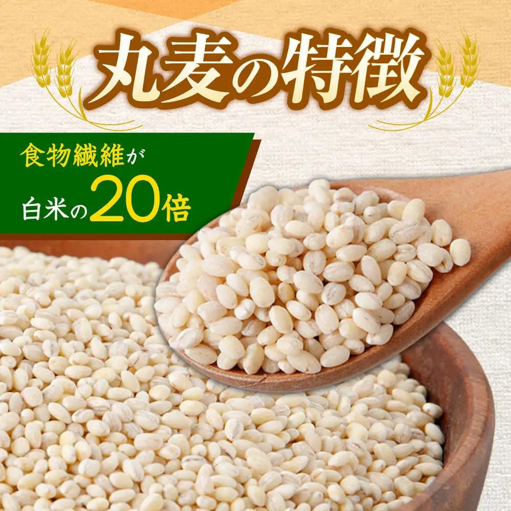 麦 10kg AHBU005 丸麦