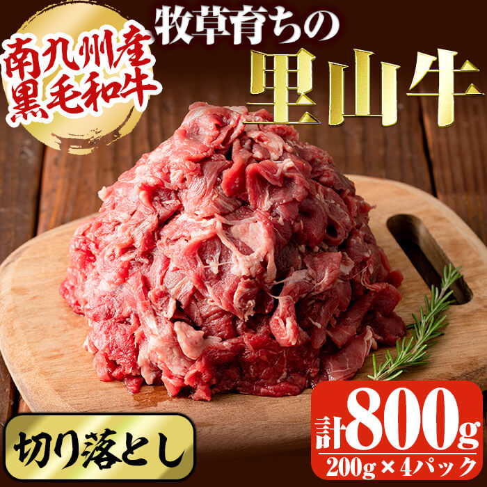 【ふるさと納税】【家計応援】＜切り落とし＋1P付き！＞国産黒毛和牛 牧草育ちの里山牛 切り落とし計800g(200g×4パック) 黒毛和牛 和牛 肉 牛肉 国産 切り落とし 赤身 真空パック【さかうえ】a9-042
