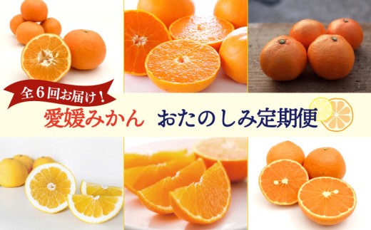 【 紅まどんな 入り！】愛媛みかんおたのしみ定期便 【全6回】 | 紅マドンナ 温州みかん 石地みかん せとか いよかん 完熟島いよかん カラマンダリン 河内晩柑 まどんな 柑橘 みかん 蜜柑 mikan 檸檬 オレンジ おれんじ かんきつ 果物 フルーツ フルーツ  愛媛県 松山市 ココオ Koko'o