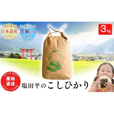 ふるさと納税 上田市 塩田平のコシヒカリ精米3kg [54041693]
