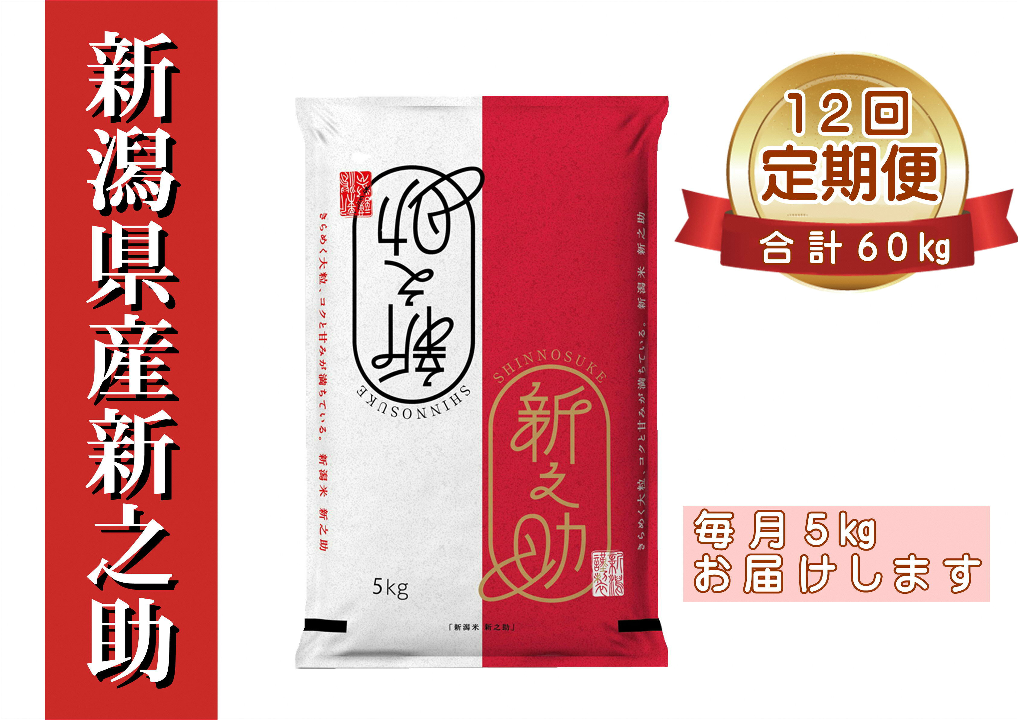 【ふるさと納税】 【令和8年産新米予約】 ≪12ヶ月定期便≫ 新潟県産 新之助 5kg×12回 計60kg 大粒 粘り 張り 旨味 冷めても硬くなりにくい 白米 精米 井上米穀店 新潟県 米 こめ コメ 新米 新米予約 令和8年産 11月上旬より順次発送予定