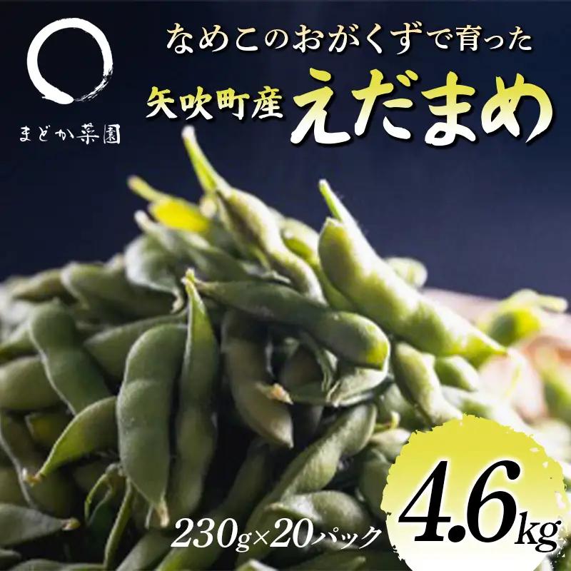 なめこのおがくずで育った 矢吹町産えだまめ 4.6kg 枝豆 F6U-410